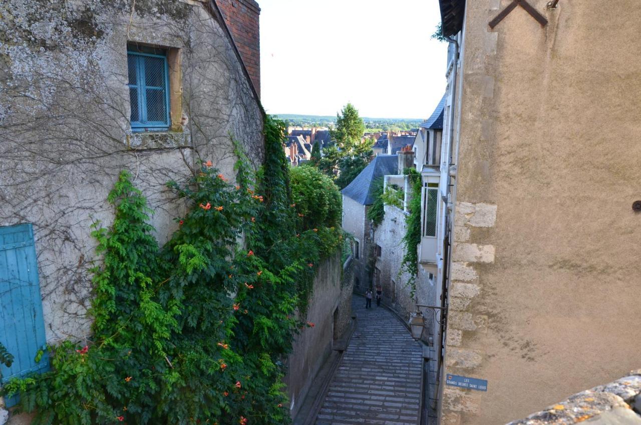 Le Vinci Studio Tout Confort Proche Centre Ville Avec Terrasse Et Parking Blois Eksteriør bilde