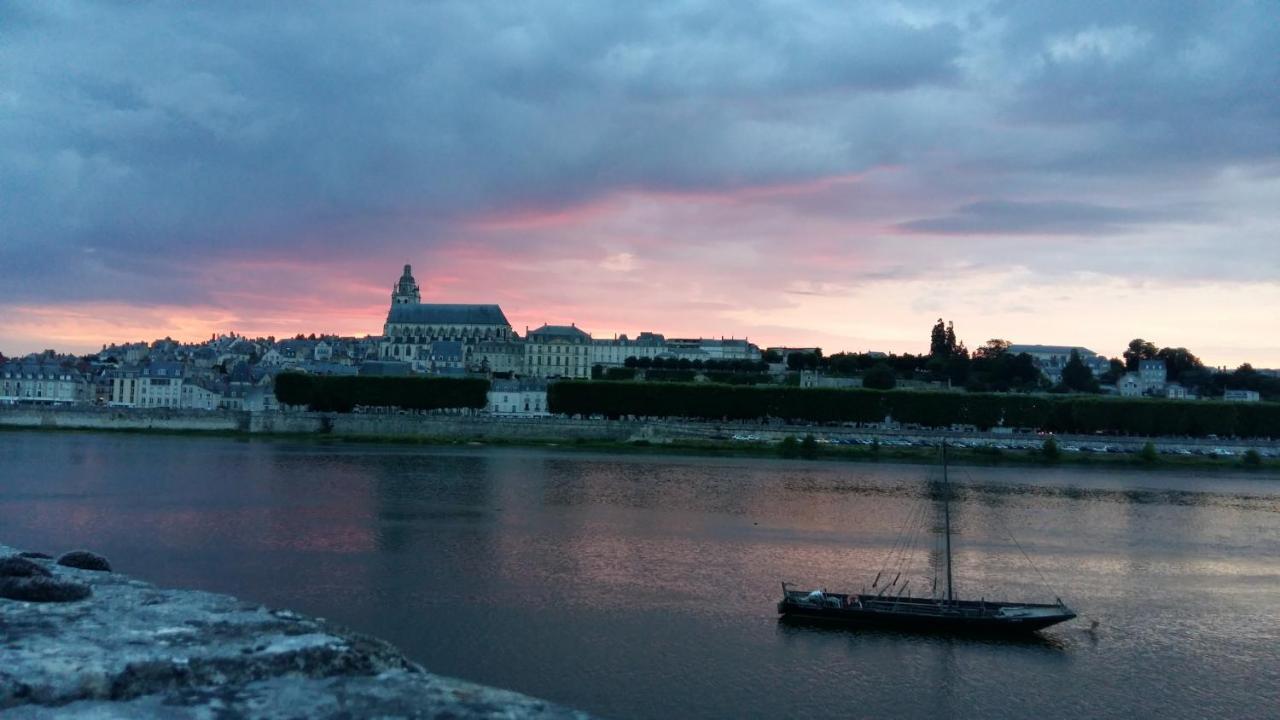 Le Vinci Studio Tout Confort Proche Centre Ville Avec Terrasse Et Parking Blois Eksteriør bilde